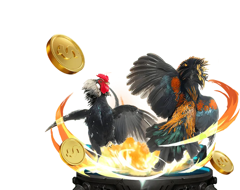 Các môn thể thao phổ biến tại vnd88